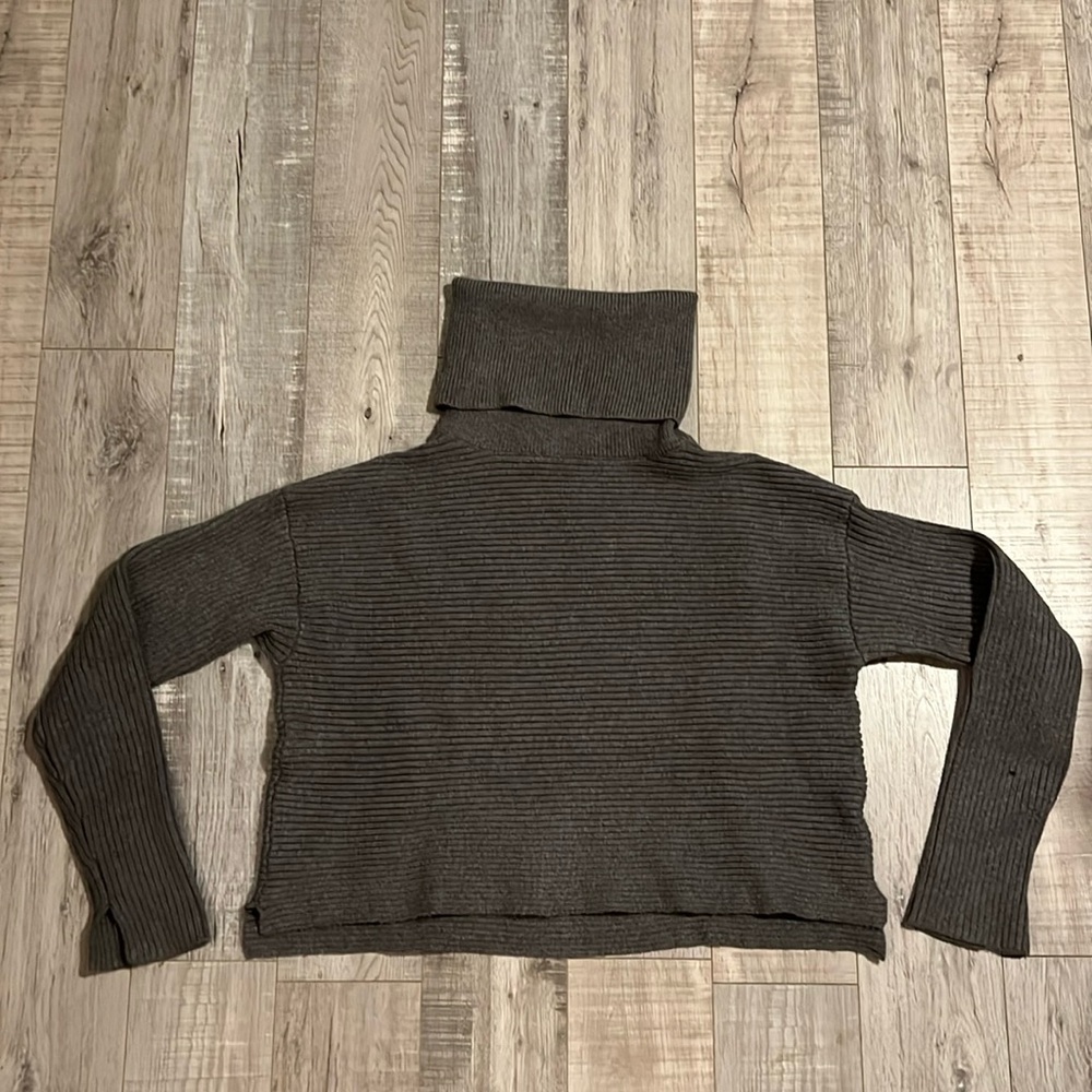 Zara Knit Cropped Turtleneck